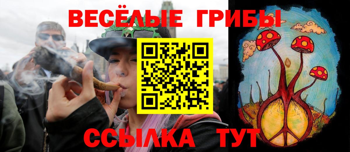 Георгиевск  Галлюциногенные грибы Magic Shrooms  Вход с VPN  Галлюциногенные грибы Psilocybine cubensis 
