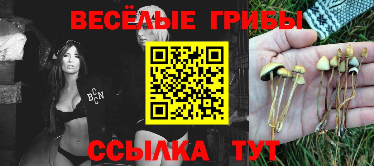 Галлюциногенные грибы прущие грибы Георгиевск