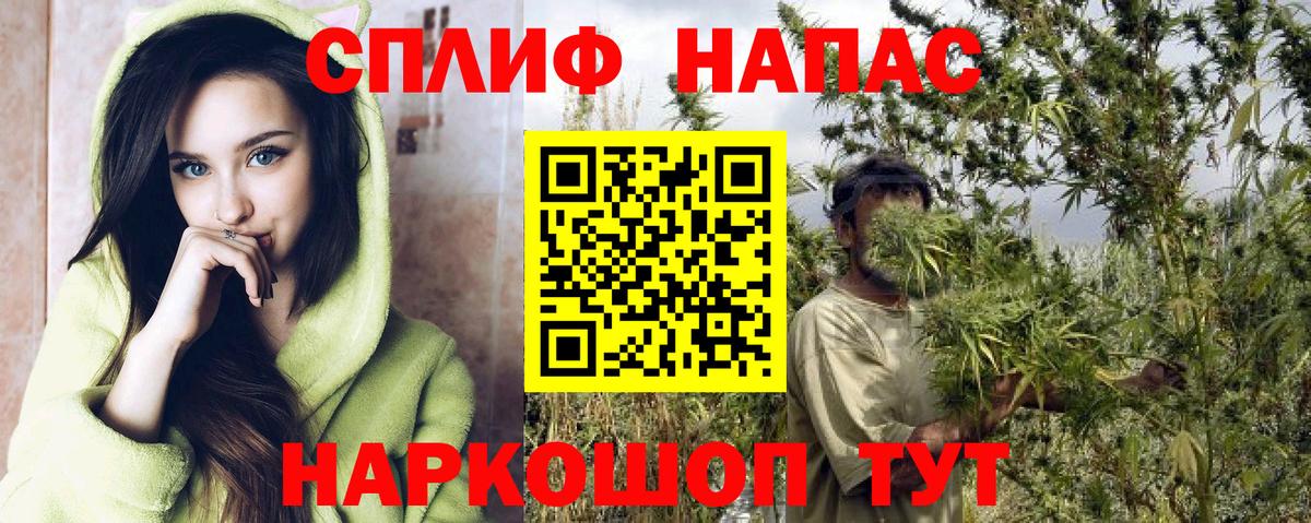 Бошки Шишки VHQ  Бошки Шишки AK-47  Вход с VPN  Бошки Шишки VHQ  Георгиевск 
